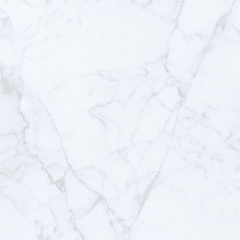 24 X 24 Carrara White Marble Polished Field Tile
