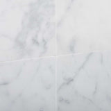 12 X 12 Carrara White Marble Honed Field Tile