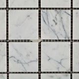 2 X 2 Carrara White Marble Honed Mosaic Tile