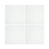 12 X 12 Thassos White Marble Honed Field Tile