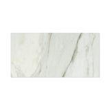 12 X 24 Calacatta Gold Marble Honed Field Tile