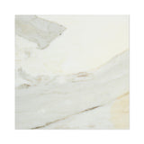 12 X 12 Calacatta Gold Marble Polished Field Tile