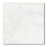 12x12 Bianco Congelato Dolomite Leathered Tile 12x12 Bianco Congelato Dolomite Leathered Tile - American Tile Depot