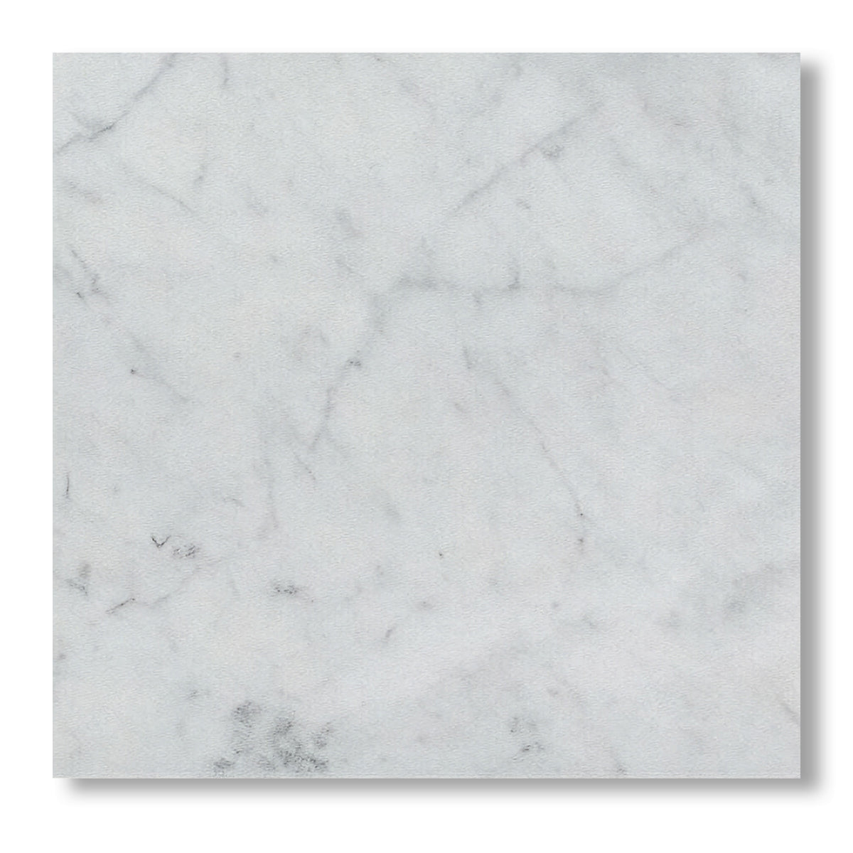 12x12 Carrara White Marble Honed Tile - American Tile Depot