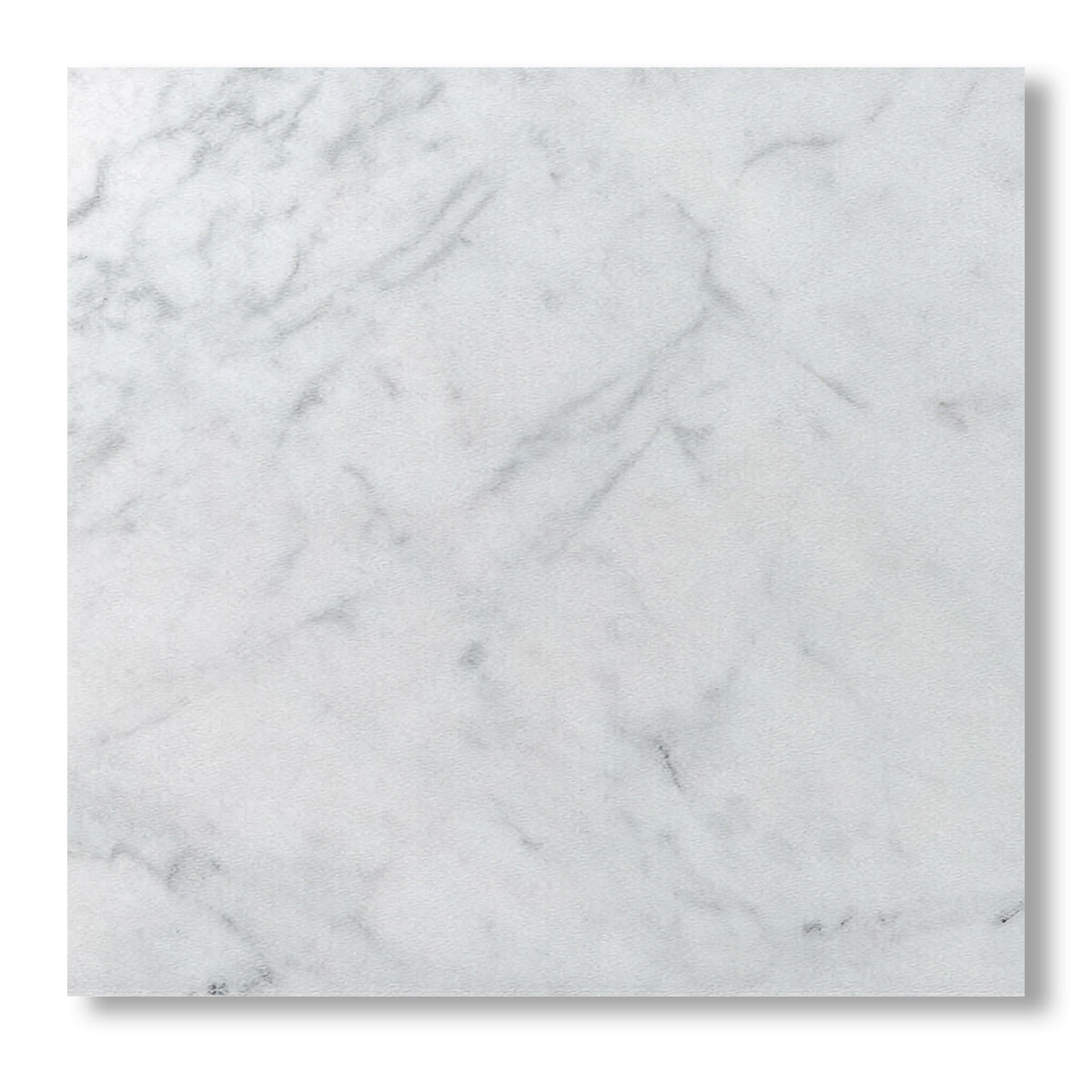 12x12 Carrara White Marble Honed Tile - American Tile Depot