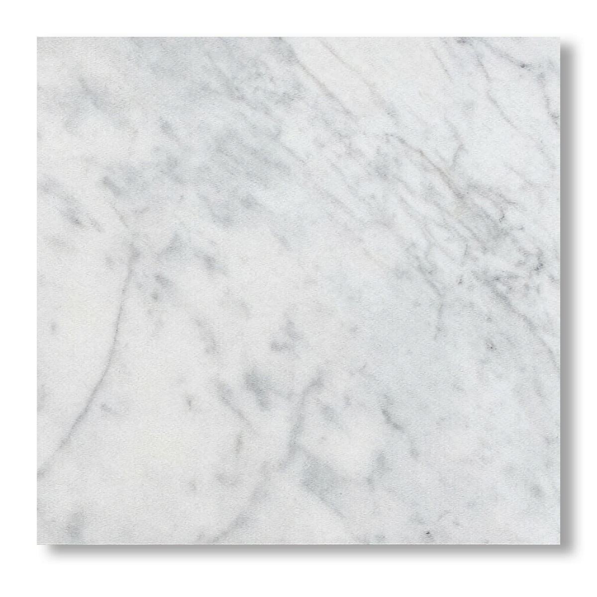 12x12 Carrara White Marble Honed Tile - American Tile Depot