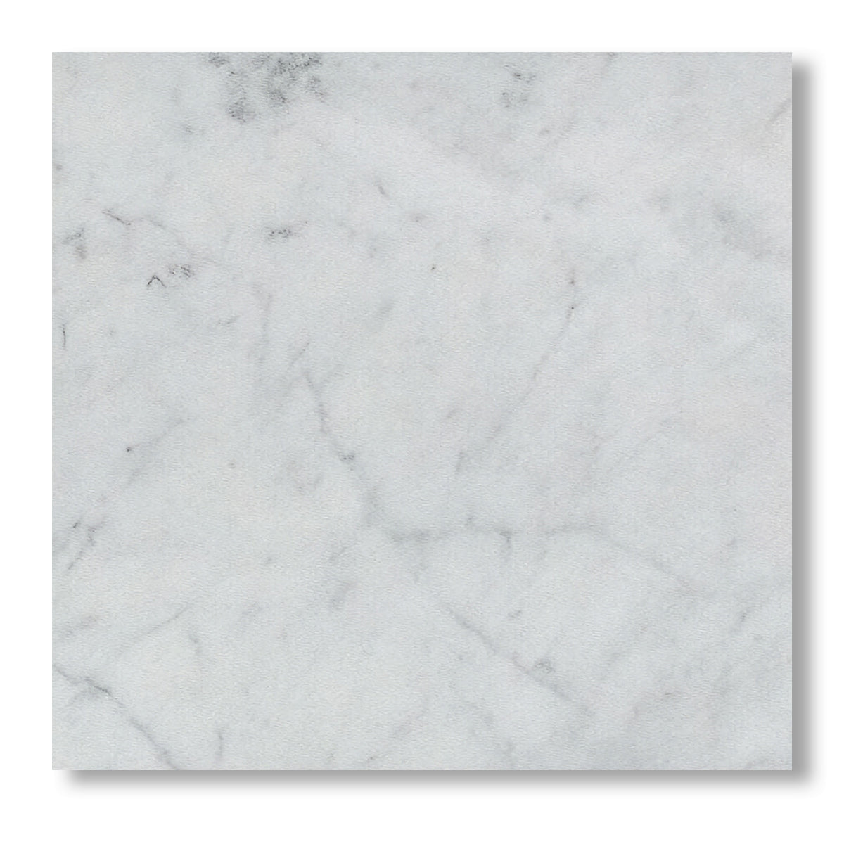 12x12 Carrara White Marble Honed Tile - American Tile Depot