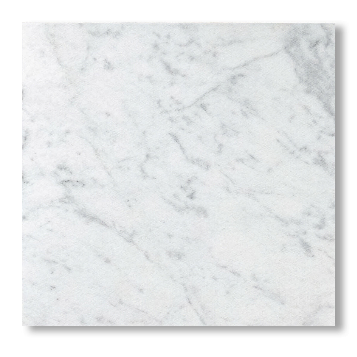 12x12 Carrara White Marble Honed Tile - American Tile Depot