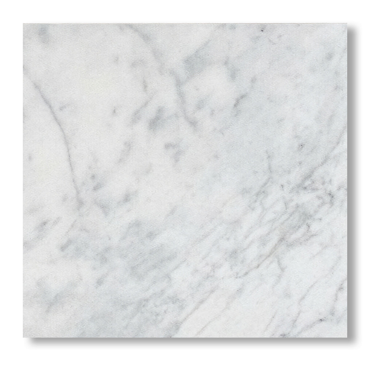 12x12 Carrara White Marble Honed Tile - American Tile Depot