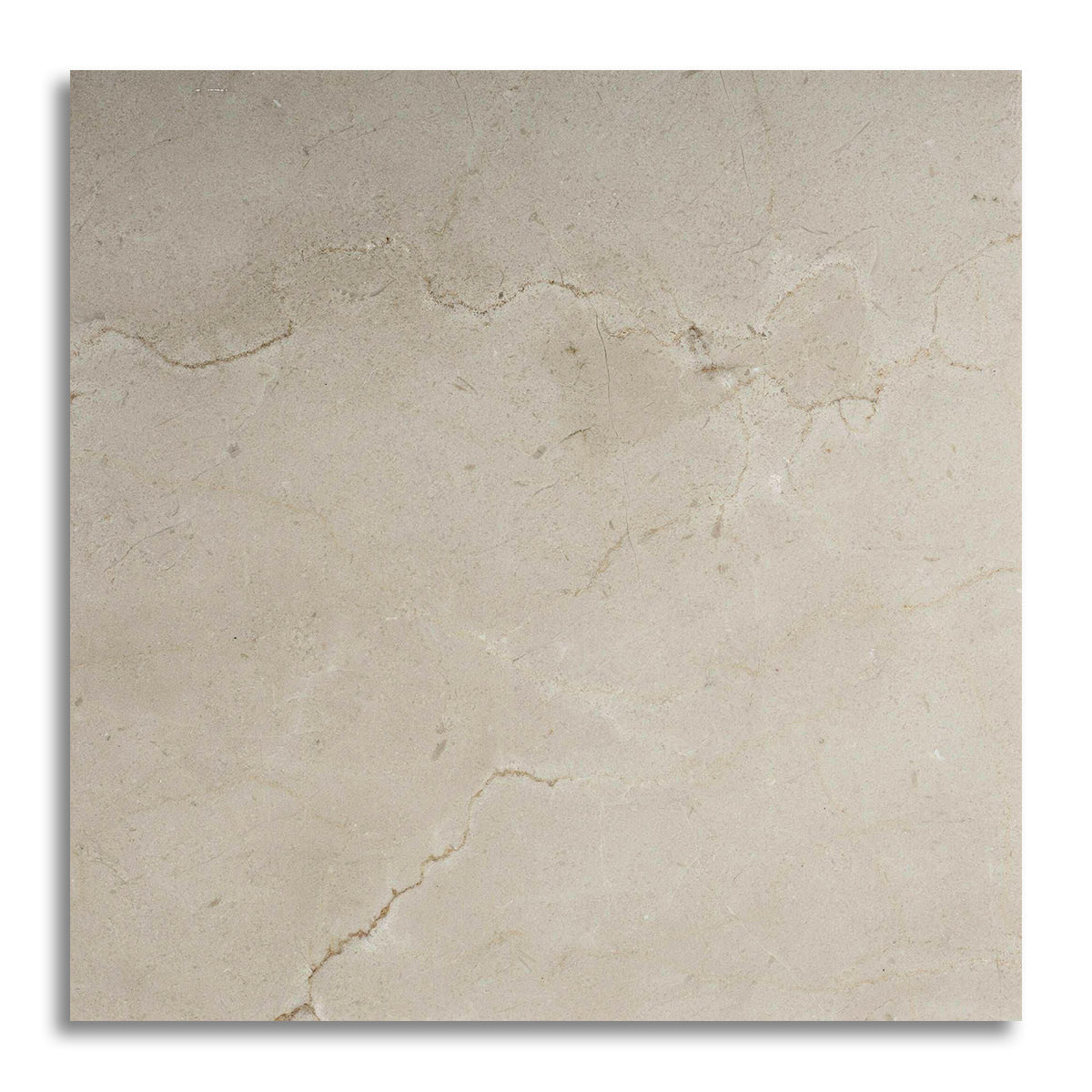 12x12 Crema Marfil Marble Honed Tile - American Tile Depot