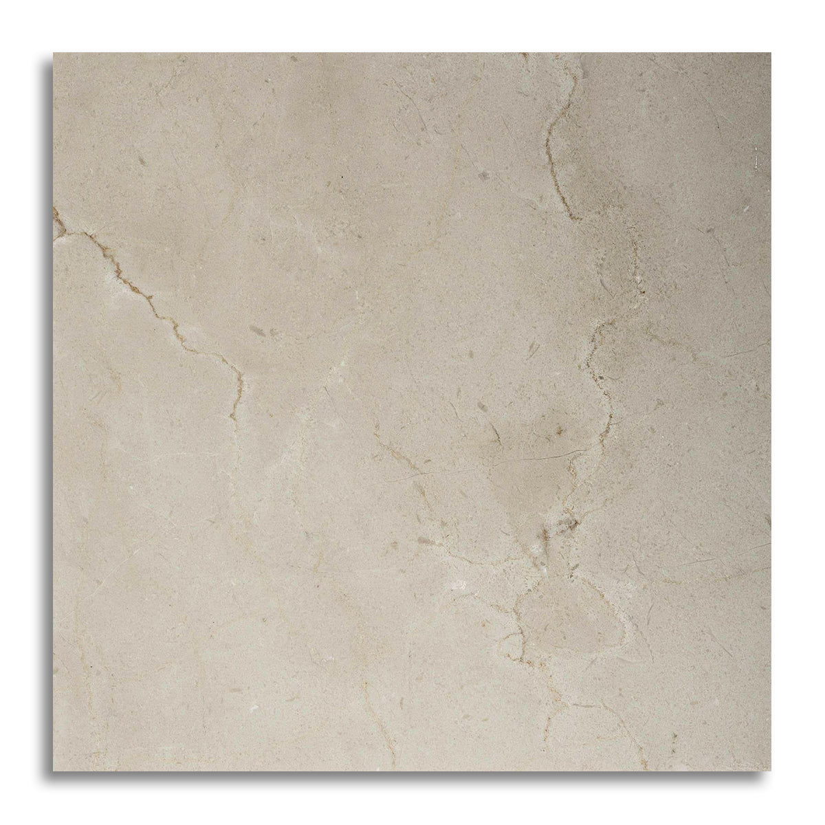 12x12 Crema Marfil Marble Honed Tile - American Tile Depot
