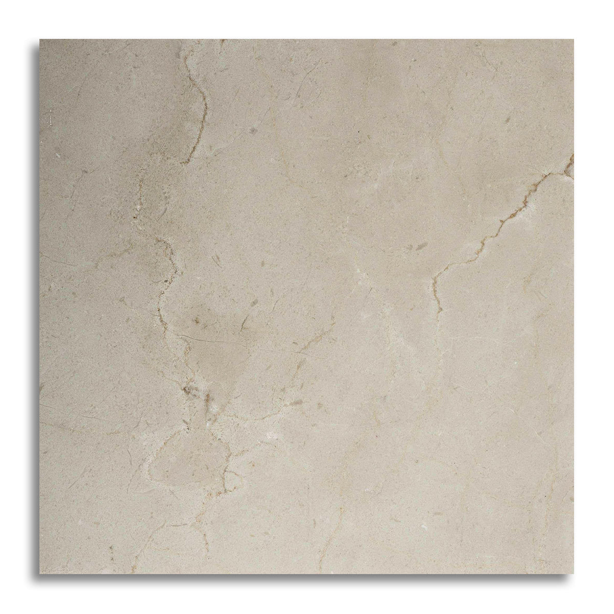 12x12 Crema Marfil Marble Honed Tile - American Tile Depot