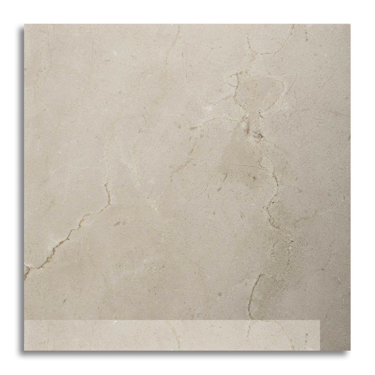 12x12 Crema Marfil Marble Honed Tile - American Tile Depot