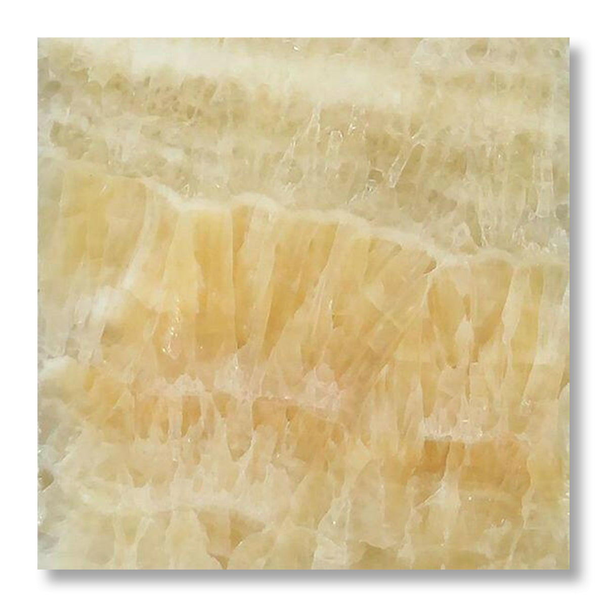 12x12 Honey Onyx Polished Tile - American Tile Depot