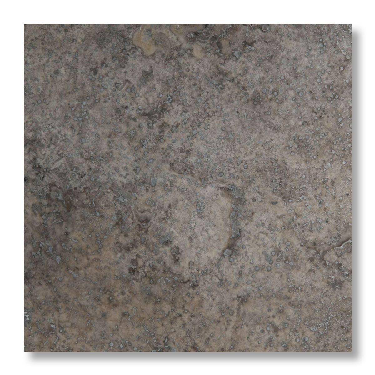 12x12 Silver Travertine Filled & Honed Tile - American Tile Depot