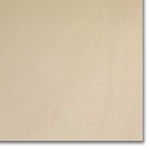 12x12 Snow White Unpolished Solid Color Porcelain Tile 12x12 Snow White Unpolished Solid Color Porcelain Tile - American Tile Depot