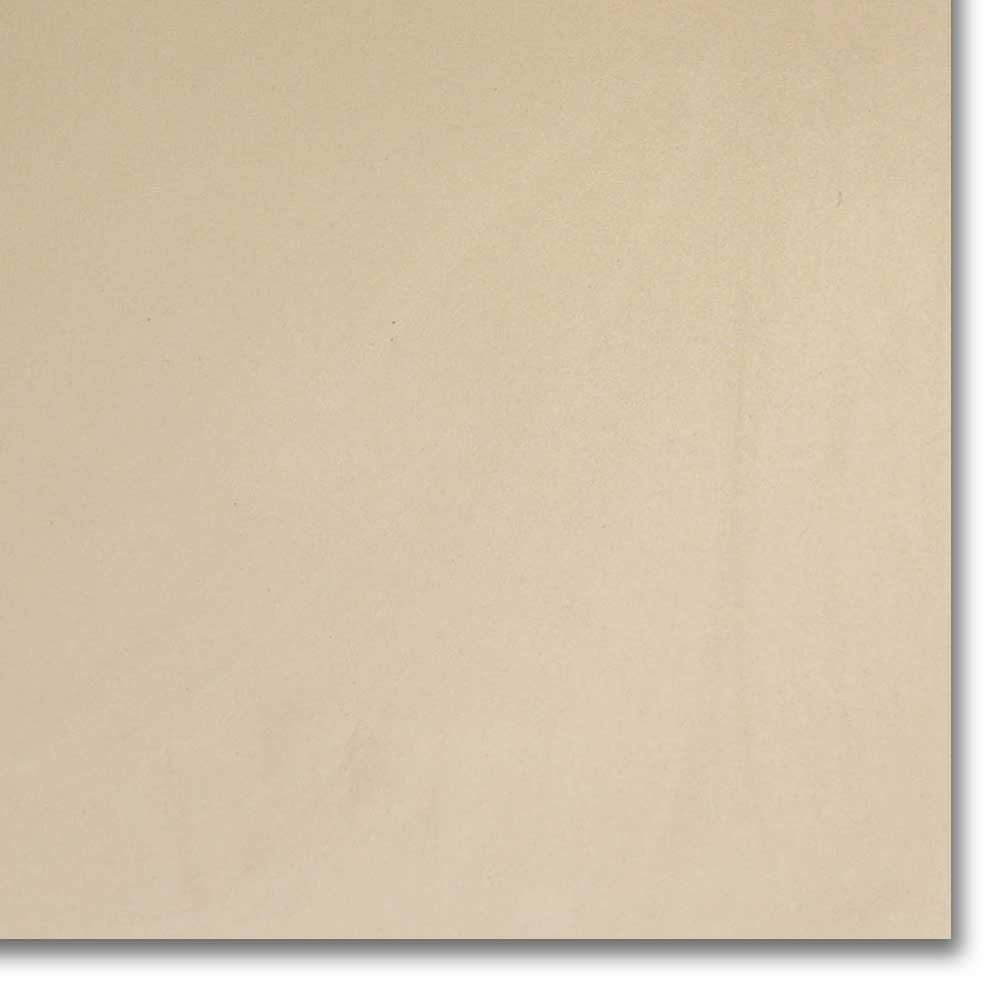 12x12 Snow White Unpolished Solid Color Porcelain Tile 12x12 Snow White Unpolished Solid Color Porcelain Tile - American Tile Depot