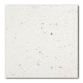 12x12 Silver Polished