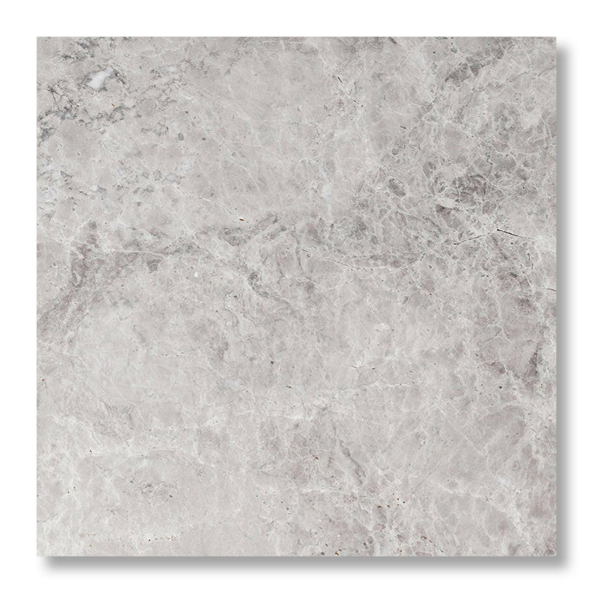 12x12 Tundra Gray (Atlantic Gray) Marble Polished Tile - American Tile Depot