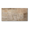 12x24 Noce Matte