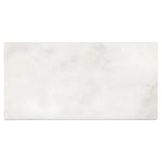 12x24 Bianco Congelato Dolomite Leathered Tile 12x24 Bianco Congelato Dolomite Leathered Tile - American Tile Depot