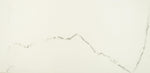 12x24 Bianco River Polished Marble Look Porcelain Tile 12x24 Bianco River Polished Marble Look Porcelain Tile - American Tile Depot