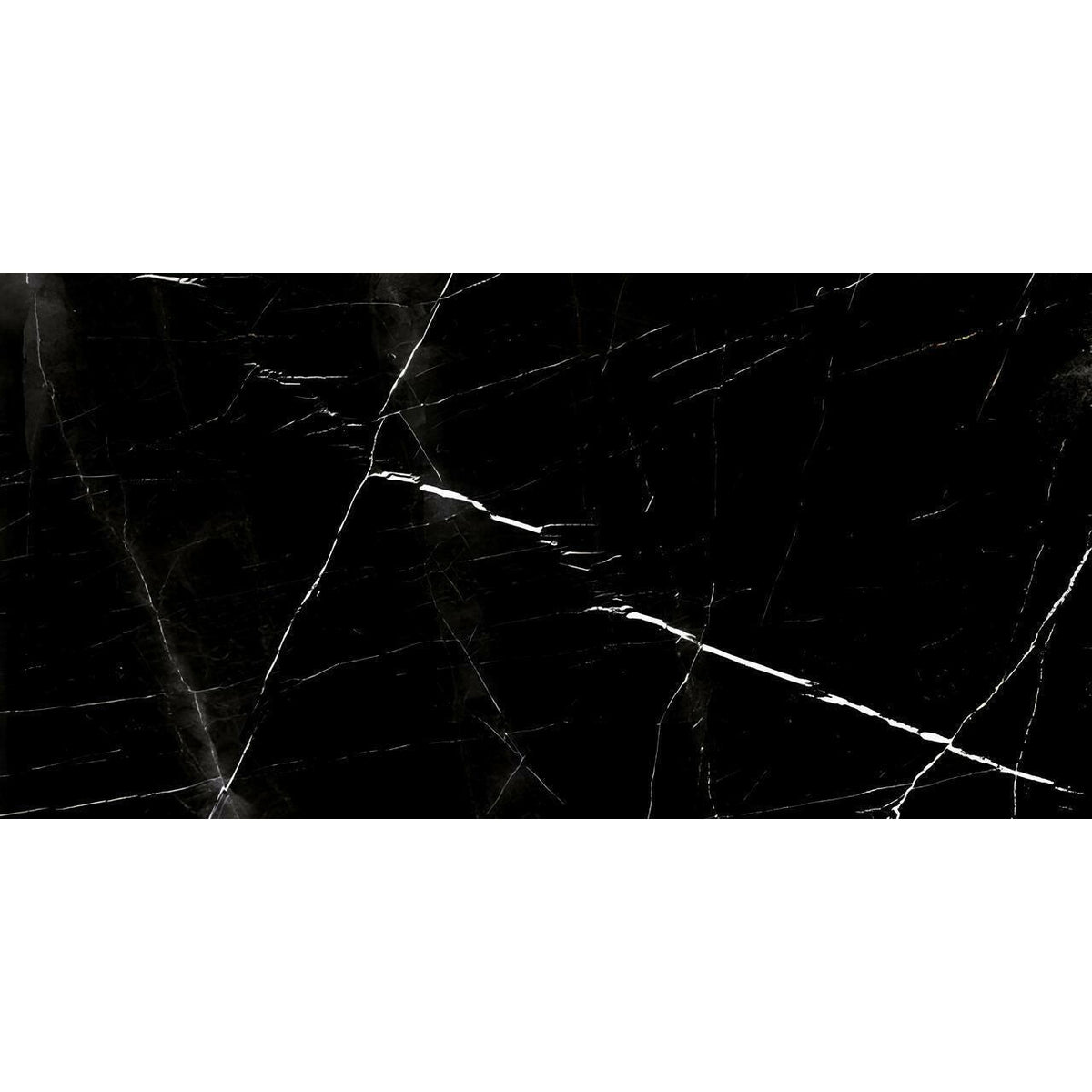 12x24 Black Marquina Marble Honed Tile - American Tile Depot