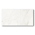 12x24 Polished 