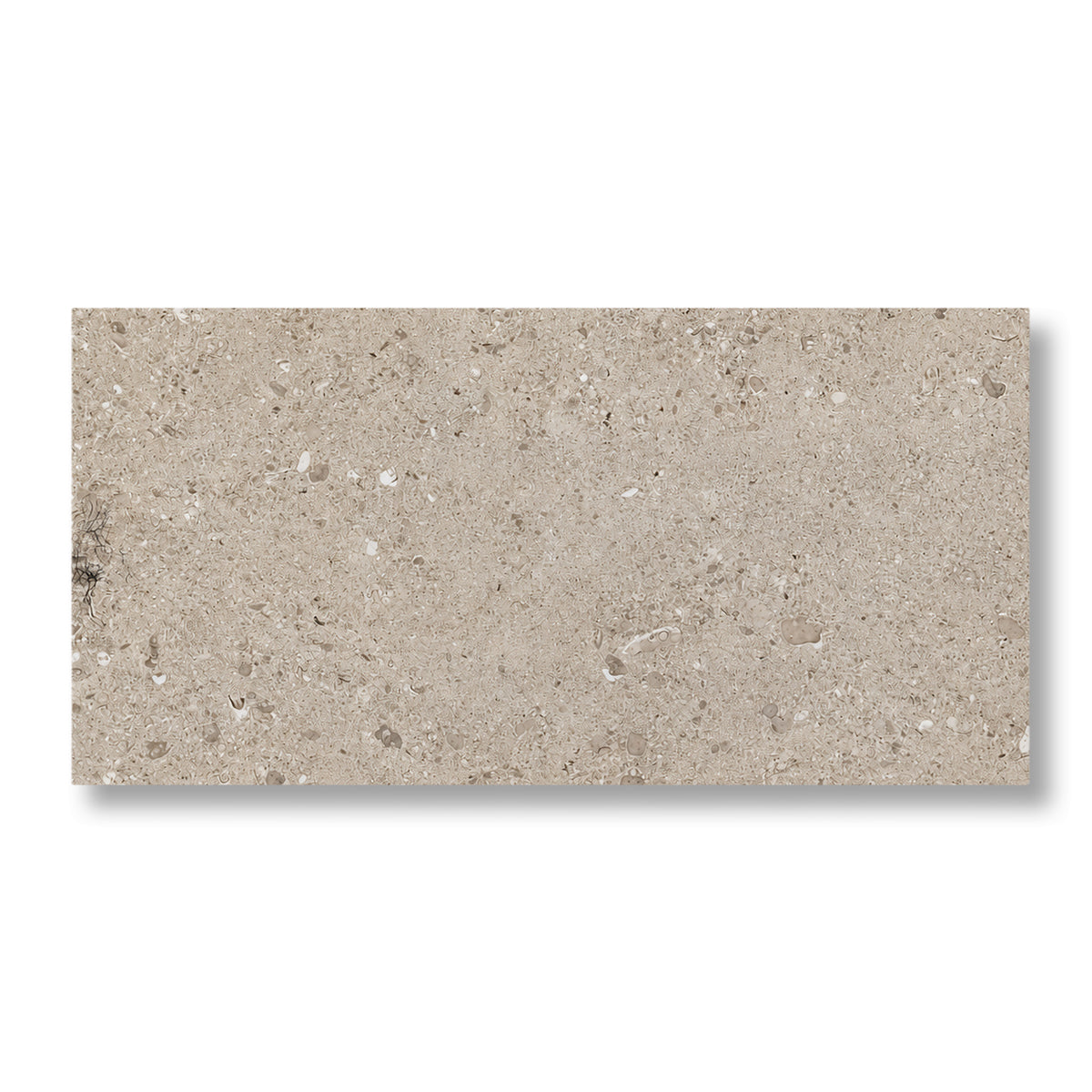 12x24 Dignitary Notable Beige Light Polished Porcelain Tile - American Tile Depot