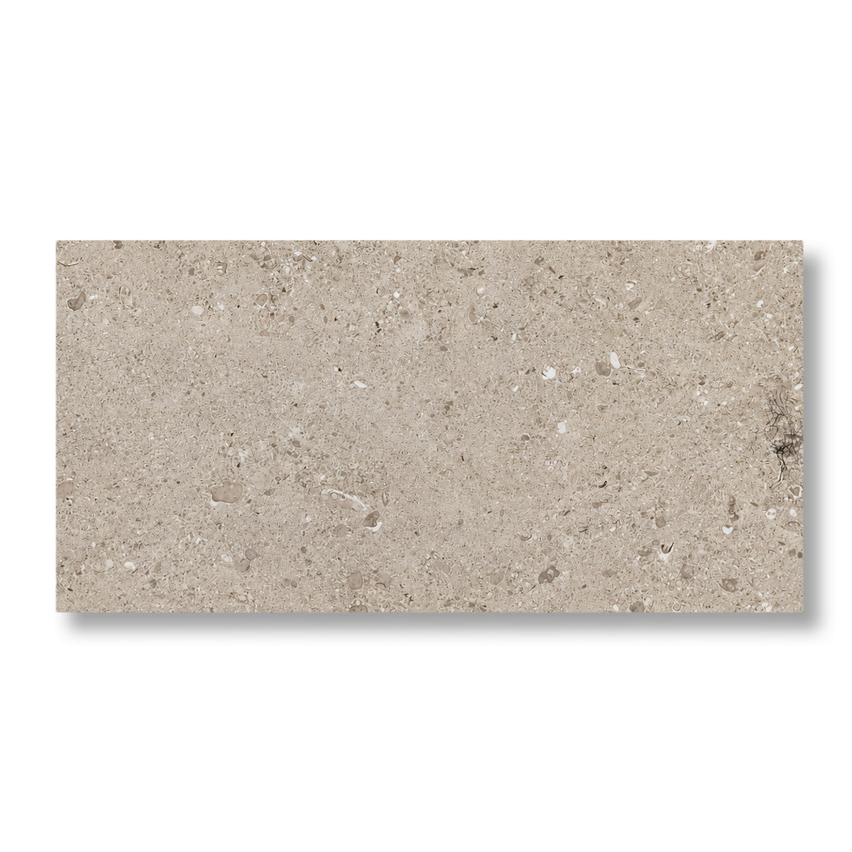 12x24 Dignitary Notable Beige Light Polished Porcelain Tile - American Tile Depot