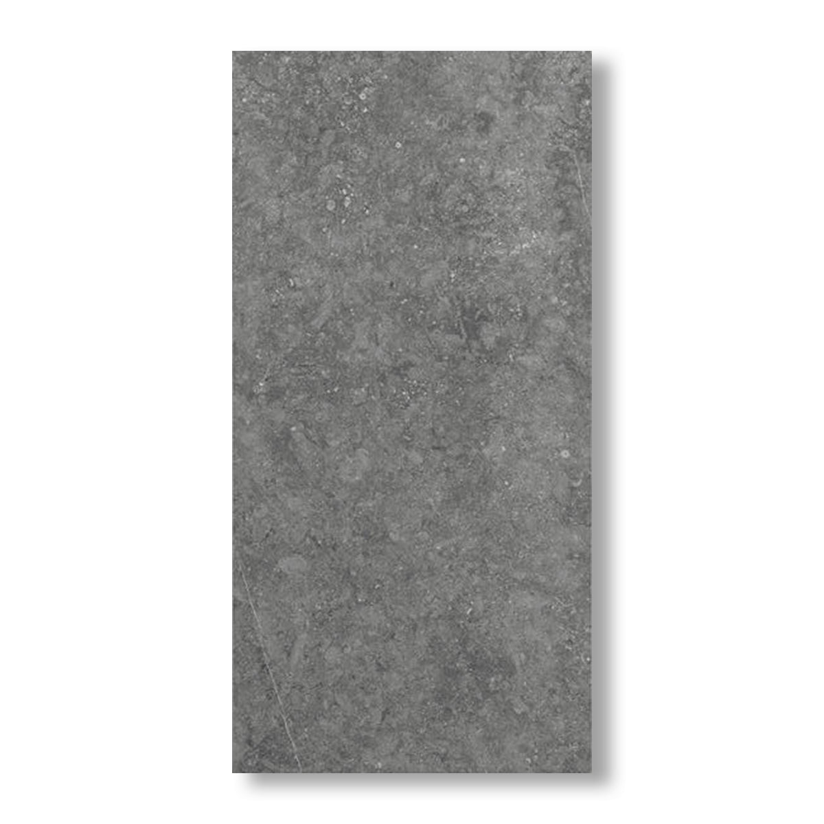 12x24 Diplomacy Light Grey Matte Porcelain Tile - American Tile Depot