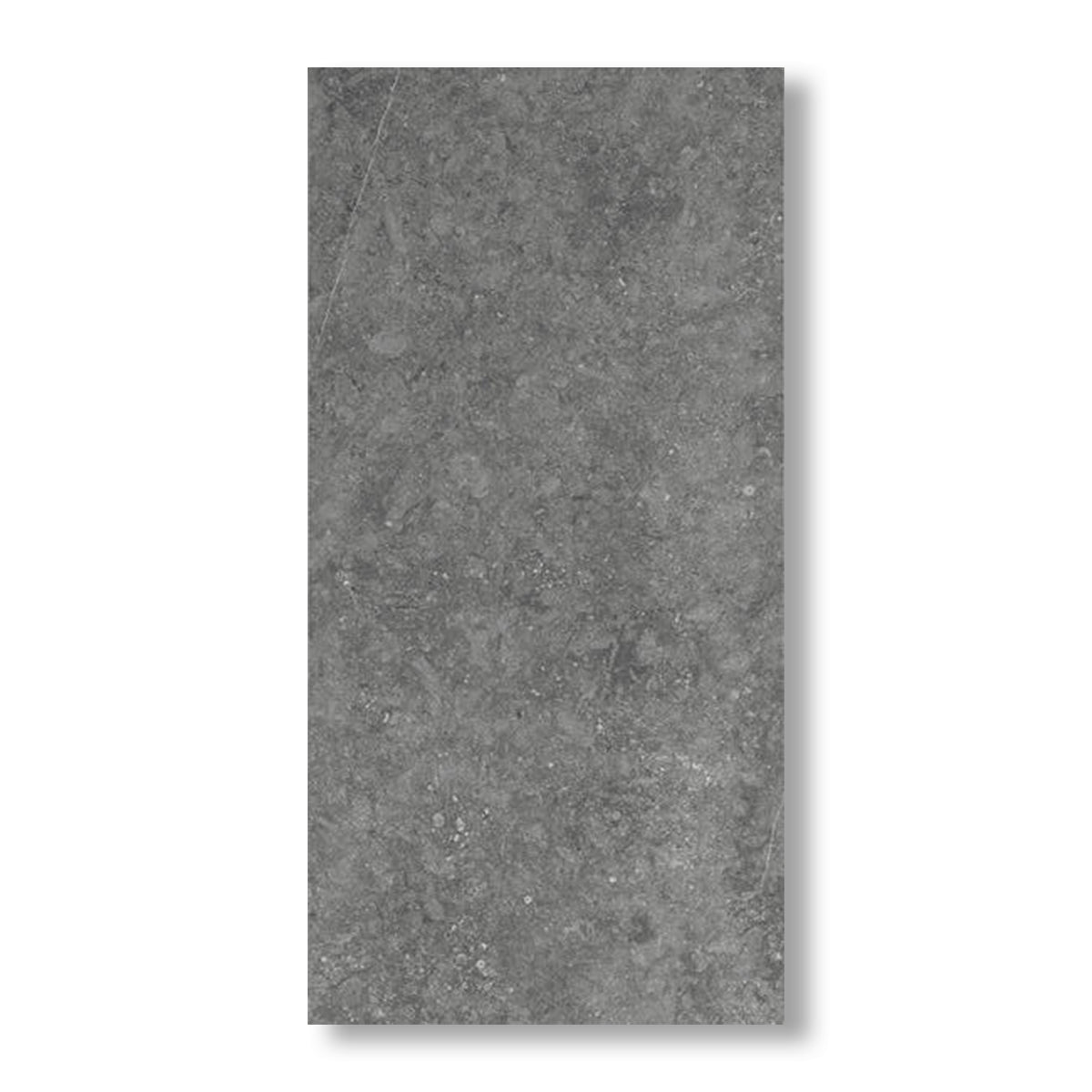 12x24 Diplomacy Light Grey Matte Porcelain Tile - American Tile Depot