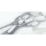 12x24 Genvora Argent Glossy Marble Look Porcelain Tile 12x24 Genvora Argent Glossy Marble Look Porcelain Tile - American Tile Depot