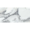 12x24 Argent Glossy 
