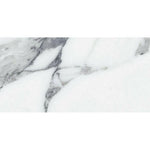 12x24 Genvora Argent Matte Marble Look Porcelain Tile 12x24 Genvora Argent Matte Marble Look Porcelain Tile - American Tile Depot