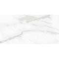 12x24 Polished 