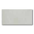 12x24 Cement Polished