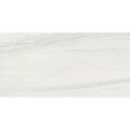12x24 Palissandro Polished 