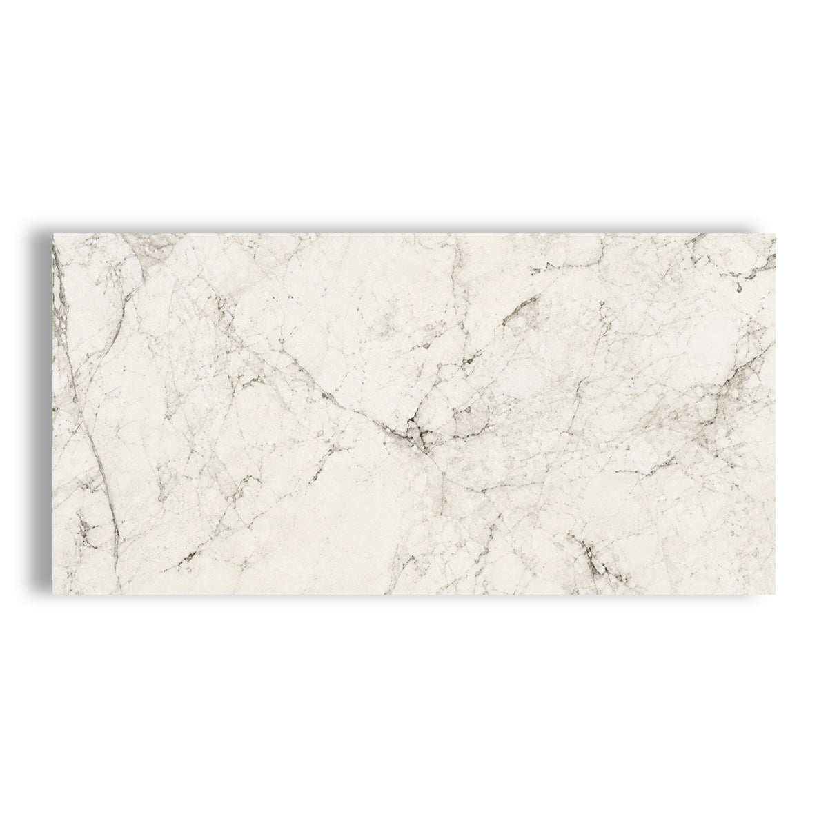 12x24 Mythique Marble Altissimo Matte Porcelain Tile - American Tile Depot