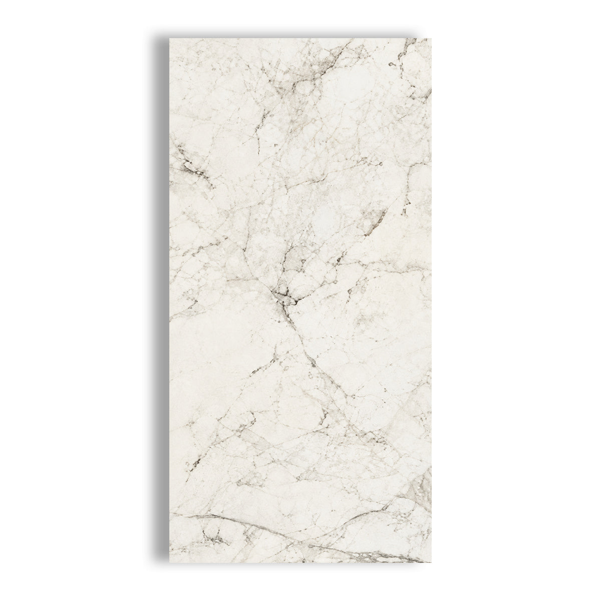 12x24 Mythique Marble Altissimo Matte Porcelain Tile - American Tile Depot