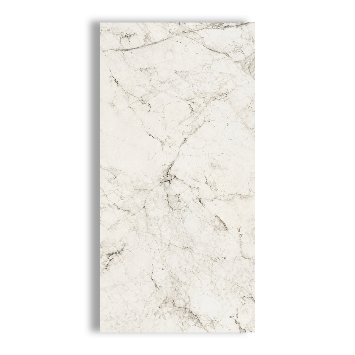 12x24 Mythique Marble Altissimo Matte Porcelain Tile - American Tile Depot