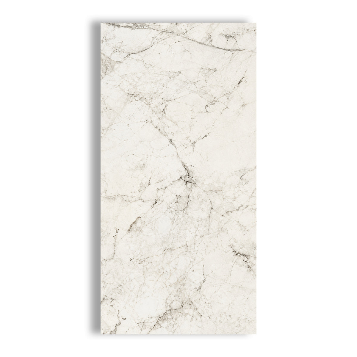 12x24 Mythique Marble Altissimo Matte Porcelain Tile - American Tile Depot