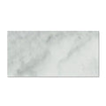 12x24 Honed
