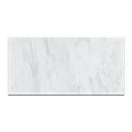 12x24 Polished