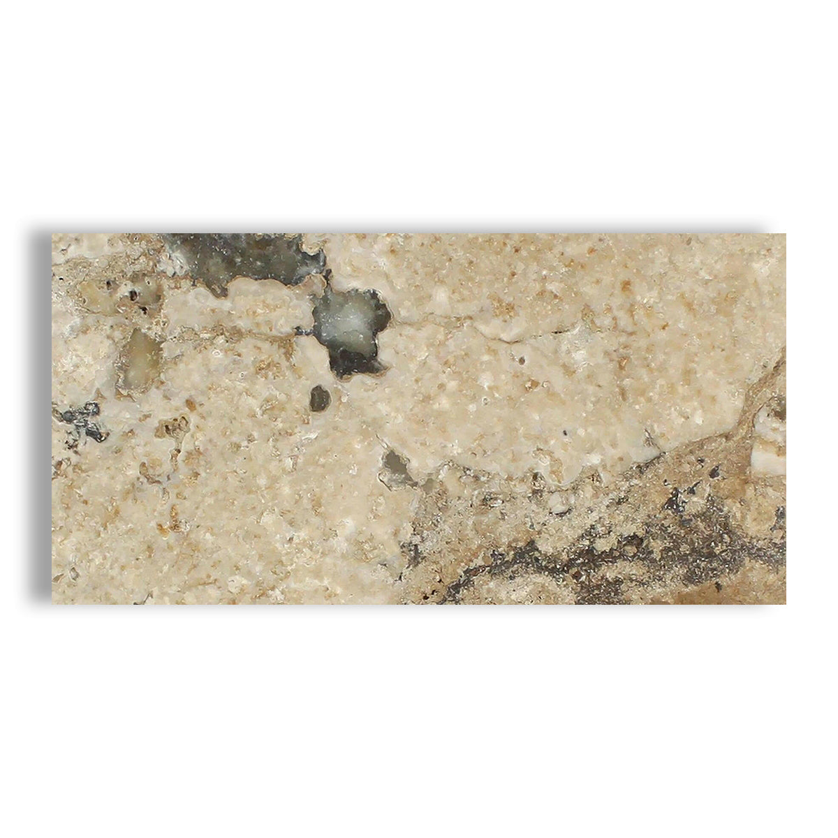 12x24 Philadelphia Travertine Filled & Honed Tile - American Tile Depot