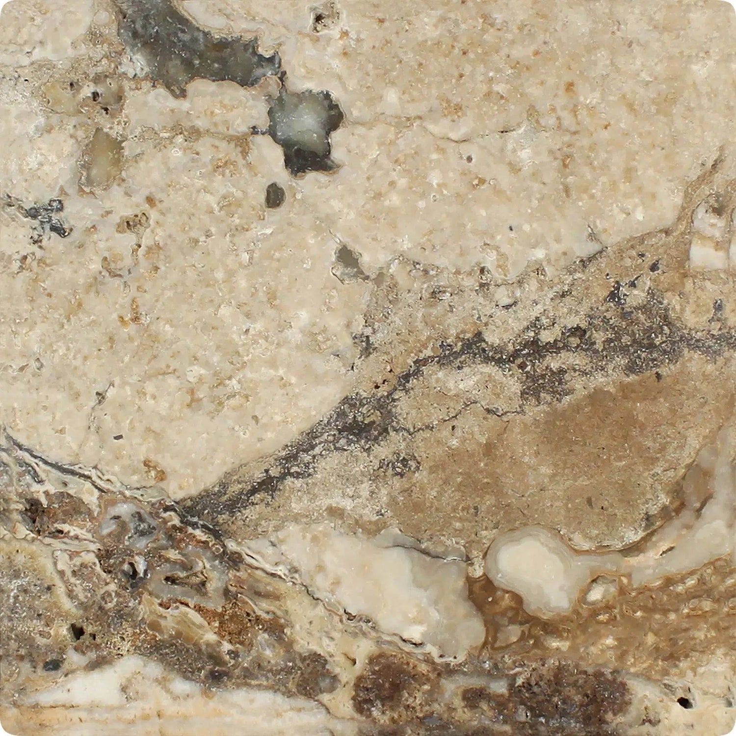 12x24 Philadelphia Travertine Filled & Honed Tile 12x24 Philadelphia Travertine Filled & Honed Tile - American Tile Depot