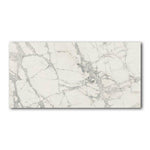 12x24 Pluvessa Mountain Treasure Matte Marble Look Porcelain Tile 12x24 Pluvessa Mountain Treasure Matte Marble Look Porcelain Tile - American Tile Depot