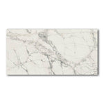 12x24 Pluvessa Mountain Treasure Matte Marble Look Porcelain Tile 12x24 Pluvessa Mountain Treasure Matte Marble Look Porcelain Tile - American Tile Depot