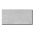 12x24 Argent Matte 