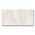 12x24 Polished